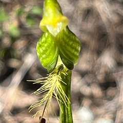 Unverified at suppressed - suppressed