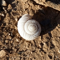 Unverified at suppressed - suppressed