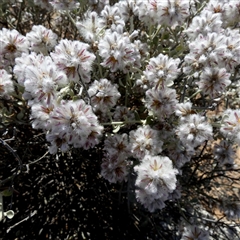 Unverified at suppressed - suppressed