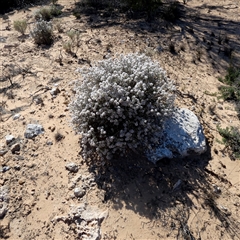 Unverified at suppressed - suppressed