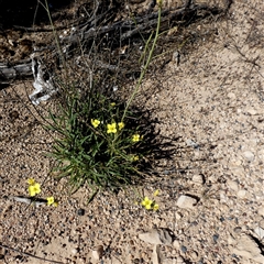 Unverified at suppressed - suppressed