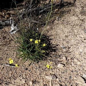 Unverified at suppressed - suppressed