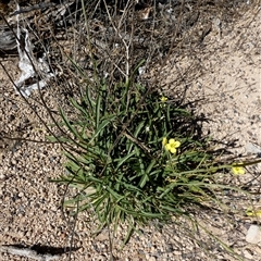 Unverified at suppressed - suppressed