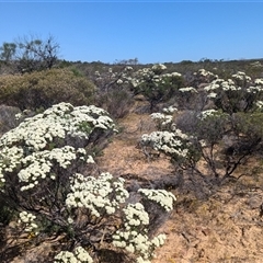 Unverified at suppressed - suppressed