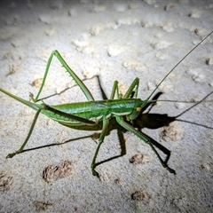 Unverified at suppressed - suppressed