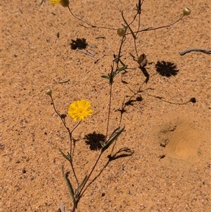 Unverified at suppressed - suppressed