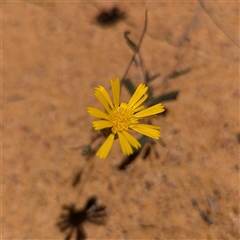 Unverified at suppressed - suppressed