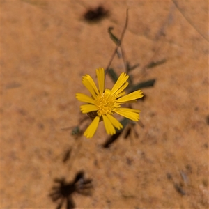 Unverified at suppressed - suppressed