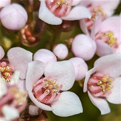 Unverified at suppressed - suppressed