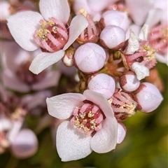 Unverified at suppressed - suppressed