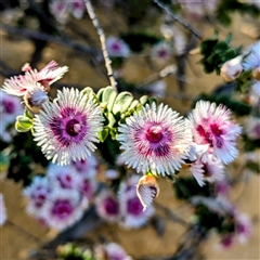 Unverified at suppressed - suppressed