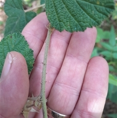 Unverified at suppressed - suppressed