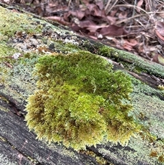 Unverified at suppressed - suppressed