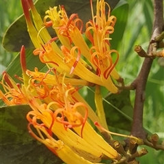 Unverified at suppressed - suppressed