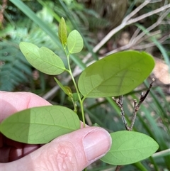 Unverified at suppressed - suppressed