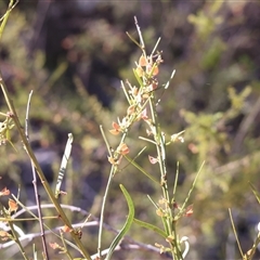 Unverified at suppressed - suppressed