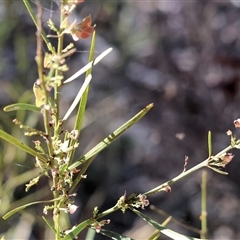 Unverified at suppressed - suppressed