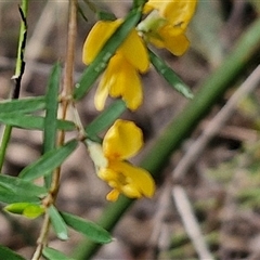 Unverified at suppressed - suppressed