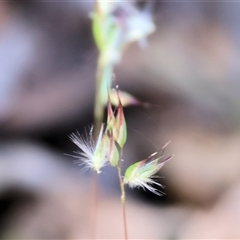 Unverified at suppressed - suppressed