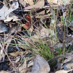 Unverified at suppressed - suppressed