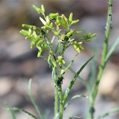 Unverified at suppressed - suppressed