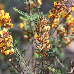 Unverified at suppressed - suppressed