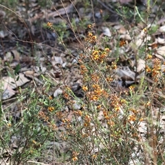 Unverified at suppressed - suppressed