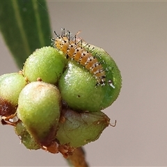 Unverified at suppressed - suppressed