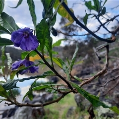 Unverified at suppressed - suppressed