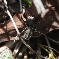 Unverified at suppressed - suppressed