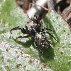 Unverified at suppressed - suppressed