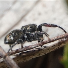 Unverified at suppressed - suppressed