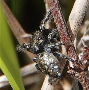 Unverified at suppressed - suppressed