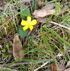 Unverified at suppressed - suppressed