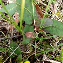 Unverified at suppressed - suppressed