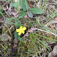 Unverified at suppressed - suppressed