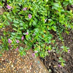 Unverified at suppressed - suppressed