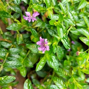 Unverified at suppressed - suppressed