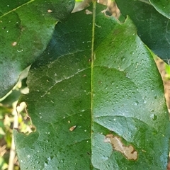 Unverified at suppressed - suppressed