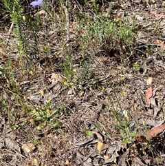 Unverified at suppressed - suppressed