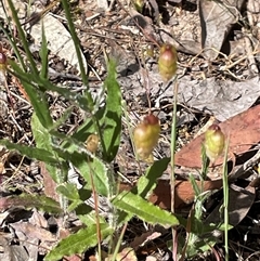 Unverified at suppressed - suppressed