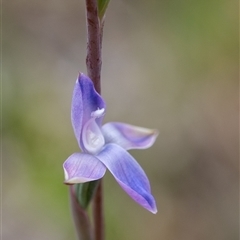 Unidentified at suppressed - 28 Oct 2024