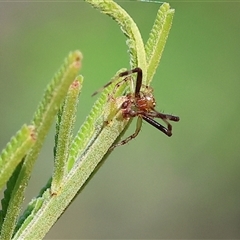 Unidentified at suppressed - 27 Oct 2024