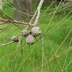 Unverified at suppressed - suppressed