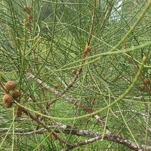 Unverified at suppressed - suppressed