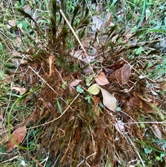 Unverified at suppressed - suppressed