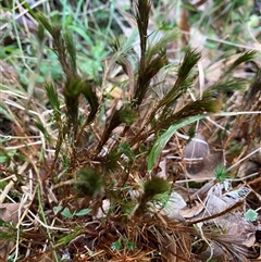 Unverified at suppressed - suppressed