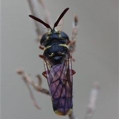 Unverified at suppressed - suppressed