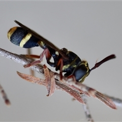 Unverified at suppressed - suppressed