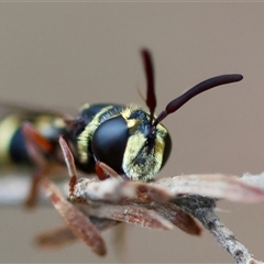 Unverified at suppressed - suppressed